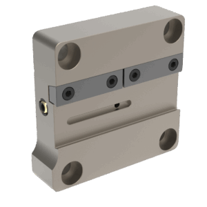 Stechschwertaufnahme